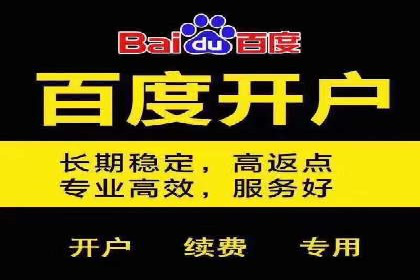SEM代理案例：优化策略助力企业增长